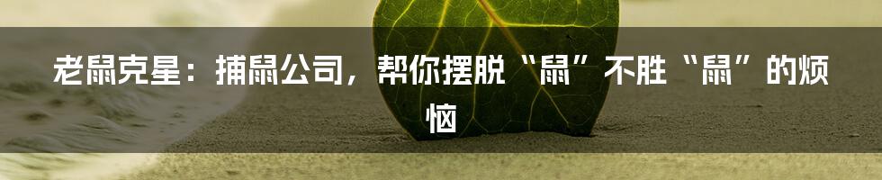 老鼠克星:捕鼠公司,帮你摆脱“鼠”不胜“鼠”的烦恼