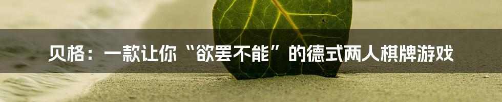 贝格:一款让你“欲罢不能”的德式两人棋牌游戏