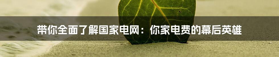 带你全面了解国家电网:你家电费的幕后英雄