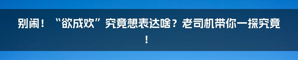 别闹!“欲成欢”究竟想表达啥?老司机带你一探究竟!