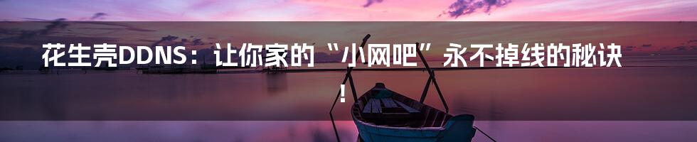 花生壳DDNS:让你家的“小网吧”永不掉线的秘诀!