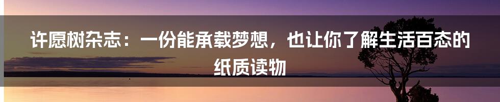 许愿树杂志：一份能承载梦想，也让你了解生活百态的纸质读物