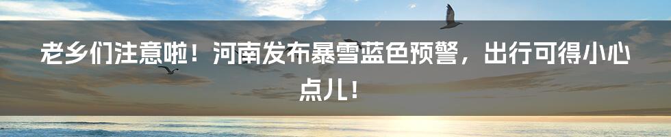 老乡们注意啦!河南发布暴雪蓝色预警,出行可得小心点儿!