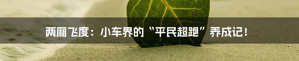 两厢飞度:小车界的“平民超跑”养成记!