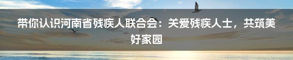 带你认识河南省残疾人联合会：关爱残疾人士，共筑美好家园