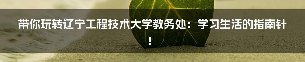 带你玩转辽宁工程技术大学教务处：学习生活的指南针！