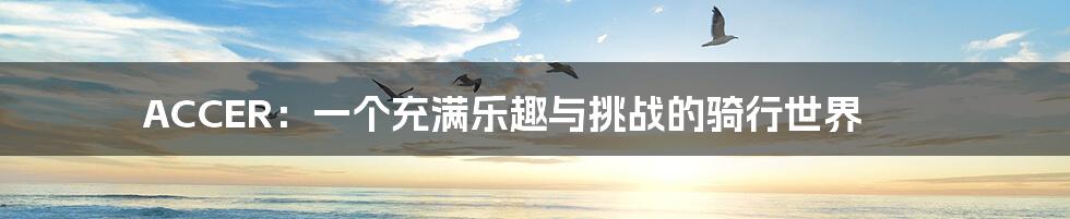 ACCER:一个充满乐趣与挑战的骑行世界