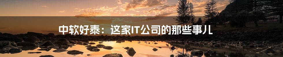 中软好泰:这家IT公司的那些事儿