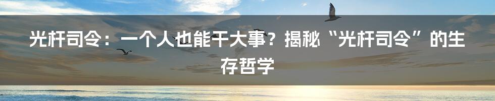 光杆司令:一个人也能干大事?揭秘“光杆司令”的生存哲学