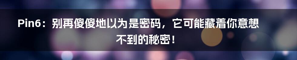Pin6:别再傻傻地以为是密码,它可能藏着你意想不到的秘密!