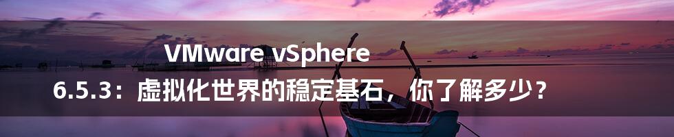 VMware vSphere 6.5.3:虚拟化世界的稳定基石,你了解多少?