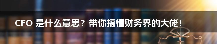 CFO 是什么意思?带你搞懂财务界的大佬!