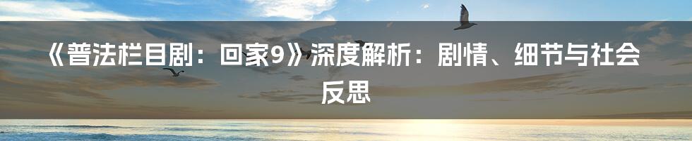 《普法栏目剧:回家9》深度解析:剧情、细节与社会反思
