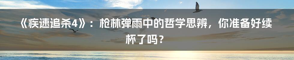 《疾速追杀4》:枪林弹雨中的哲学思辨,你准备好续杯了吗?