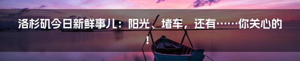 洛杉矶今日新鲜事儿:阳光、堵车,还有……你关心的!