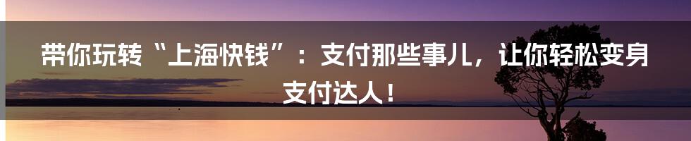 带你玩转“上海快钱”:支付那些事儿,让你轻松变身支付达人!