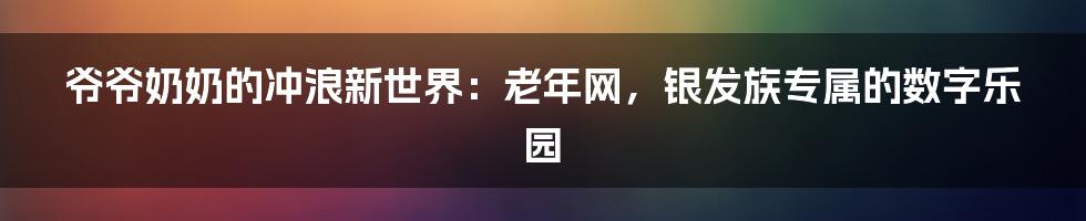 爷爷奶奶的冲浪新世界:老年网,银发族专属的数字乐园