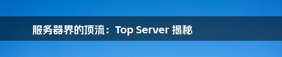 服务器界的顶流:Top Server 揭秘