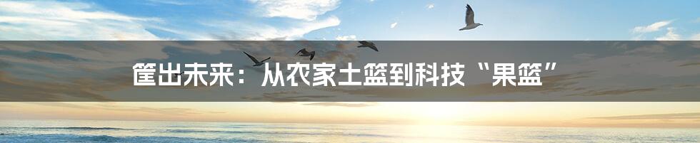 筐出未来:从农家土篮到科技“果篮”