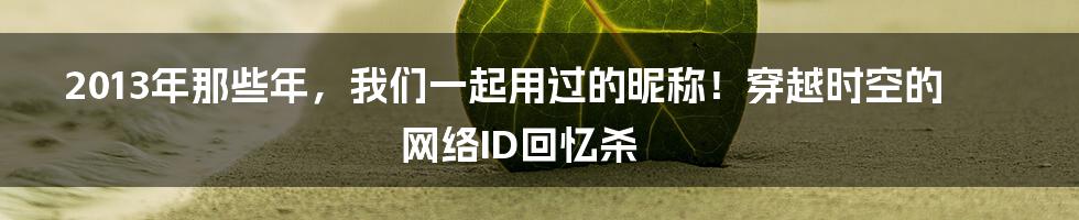 2013年那些年,我们一起用过的昵称!穿越时空的网络ID回忆杀