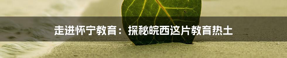 走进怀宁教育:探秘皖西这片教育热土