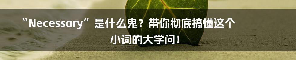 “Necessary”是什么鬼?带你彻底搞懂这个小词的大学问!