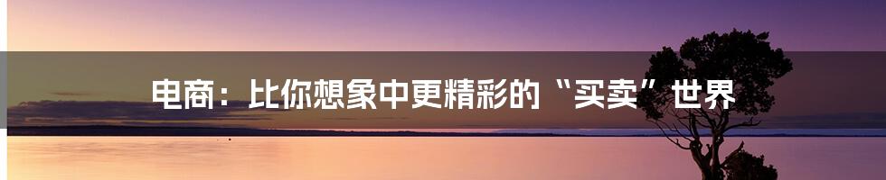 电商:比你想象中更精彩的“买卖”世界