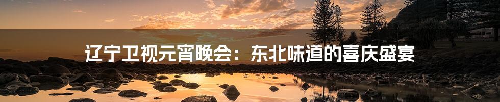 辽宁卫视元宵晚会:东北味道的喜庆盛宴