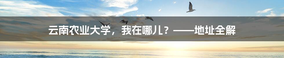 云南农业大学,我在哪儿?——地址全解