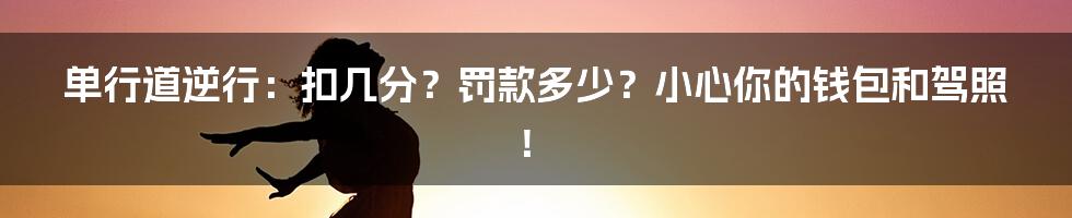 单行道逆行:扣几分?罚款多少?小心你的钱包和驾照!