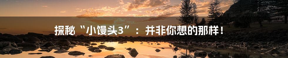 探秘“小馒头3”:并非你想的那样!