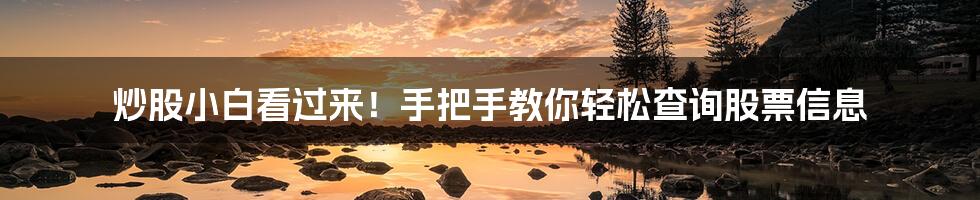 炒股小白看过来！手把手教你轻松查询股票信息