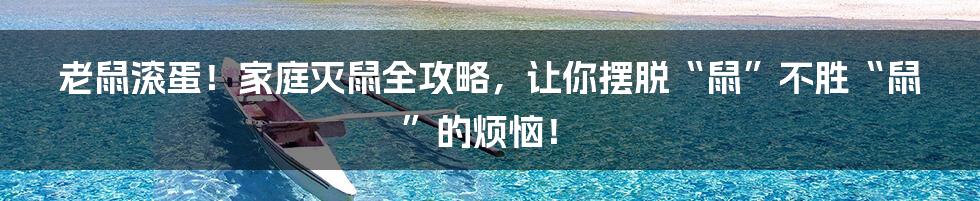 老鼠滚蛋！家庭灭鼠全攻略，让你摆脱“鼠”不胜“鼠”的烦恼！