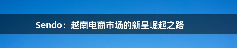 Sendo:越南电商市场的新星崛起之路