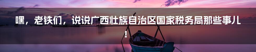 嘿，老铁们，说说广西壮族自治区国家税务局那些事儿！