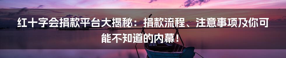 红十字会捐款平台大揭秘:捐款流程、注意事项及你可能不知道的内幕!