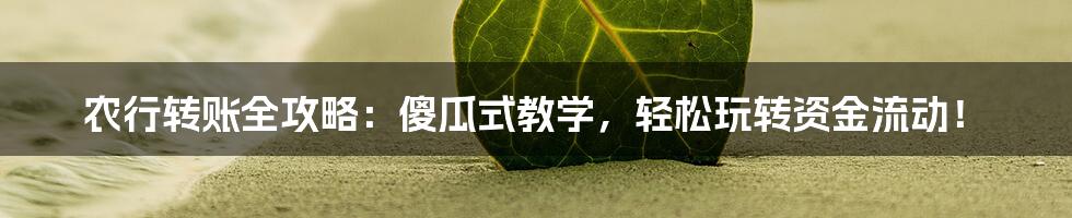 农行转账全攻略:傻瓜式教学,轻松玩转资金流动!