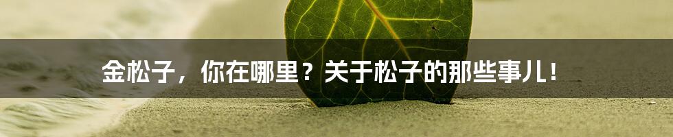 金松子,你在哪里?关于松子的那些事儿!