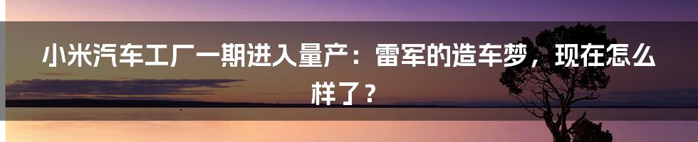小米汽车工厂一期进入量产:雷军的造车梦,现在怎么样了?