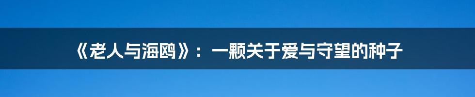 《老人与海鸥》:一颗关于爱与守望的种子