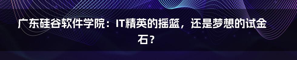 广东硅谷软件学院:IT精英的摇篮,还是梦想的试金石?