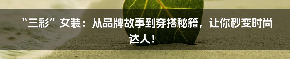 “三彩”女装:从品牌故事到穿搭秘籍,让你秒变时尚达人!
