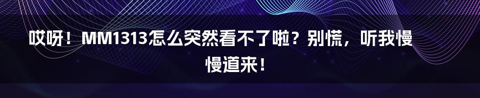 哎呀!MM1313怎么突然看不了啦?别慌,听我慢慢道来!