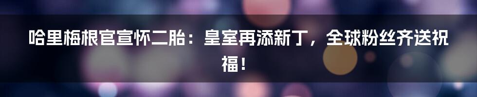 哈里梅根官宣怀二胎:皇室再添新丁,全球粉丝齐送祝福!