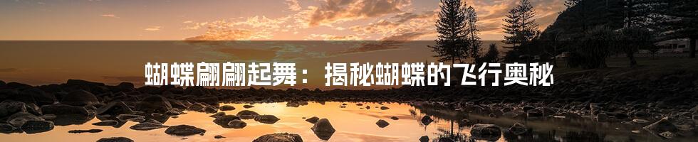 蝴蝶翩翩起舞:揭秘蝴蝶的飞行奥秘