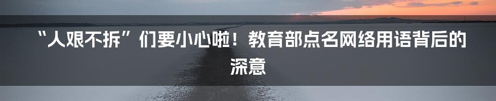 “人艰不拆”们要小心啦！教育部点名网络用语背后的深意