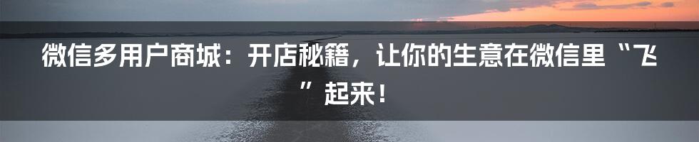 微信多用户商城:开店秘籍,让你的生意在微信里“飞”起来!