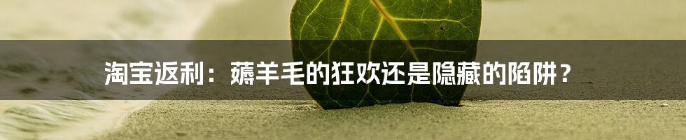 淘宝返利:薅羊毛的狂欢还是隐藏的陷阱?