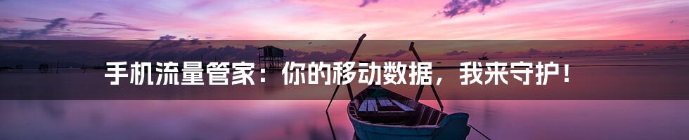 手机流量管家:你的移动数据,我来守护!