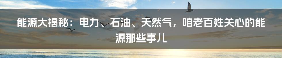 能源大揭秘：电力、石油、天然气，咱老百姓关心的能源那些事儿